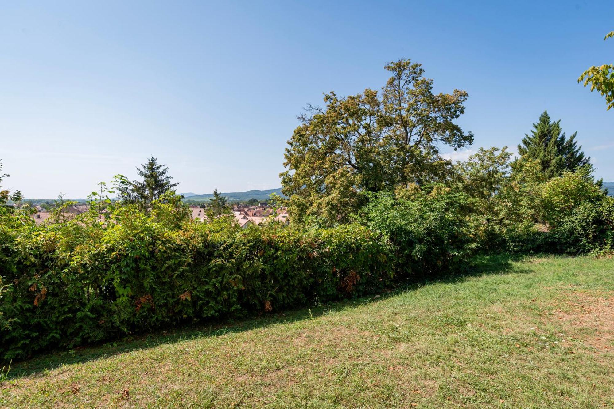 Le Nichoir De La Colline - Parking & Wifi Apartment Obernai Exterior photo